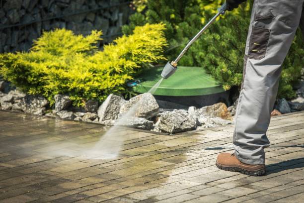Best Driveway Pressure Washing  in Hokes Bluff, AL